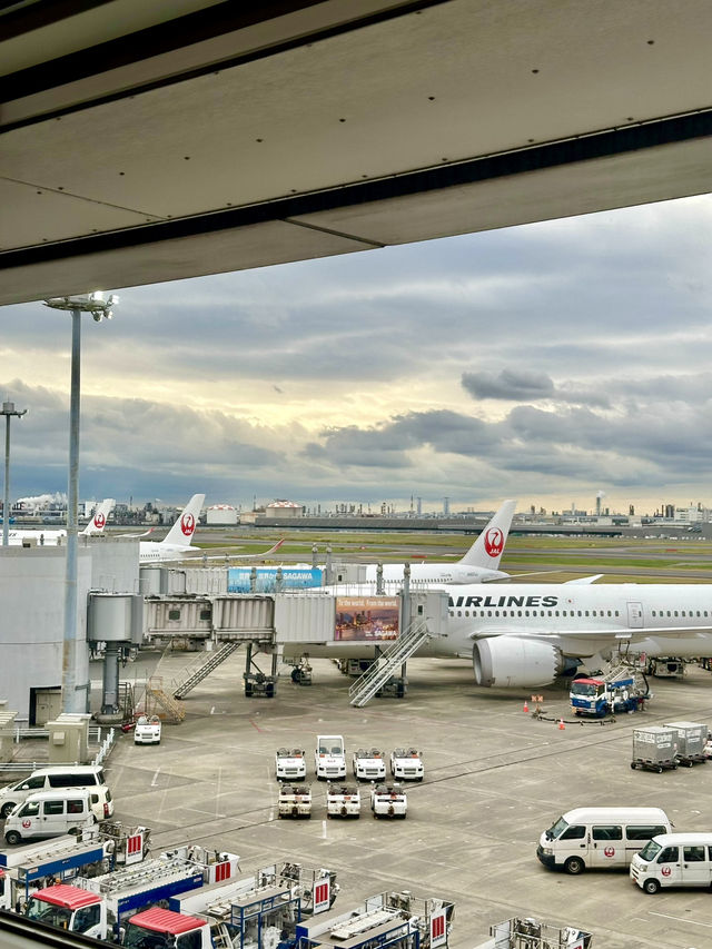 📍JALサクララウンジ/羽田空港
