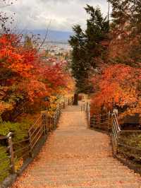 【山梨】ミシュランの表紙にもなった絶景