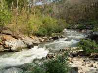Great Nature Getaway Near Chiang Mai 
