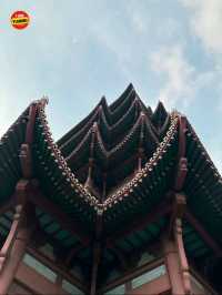 หอนกกระเรียนเหลือง - อู๋ฮั่น🇨🇳