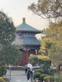 Jinshan Park🌳🏰