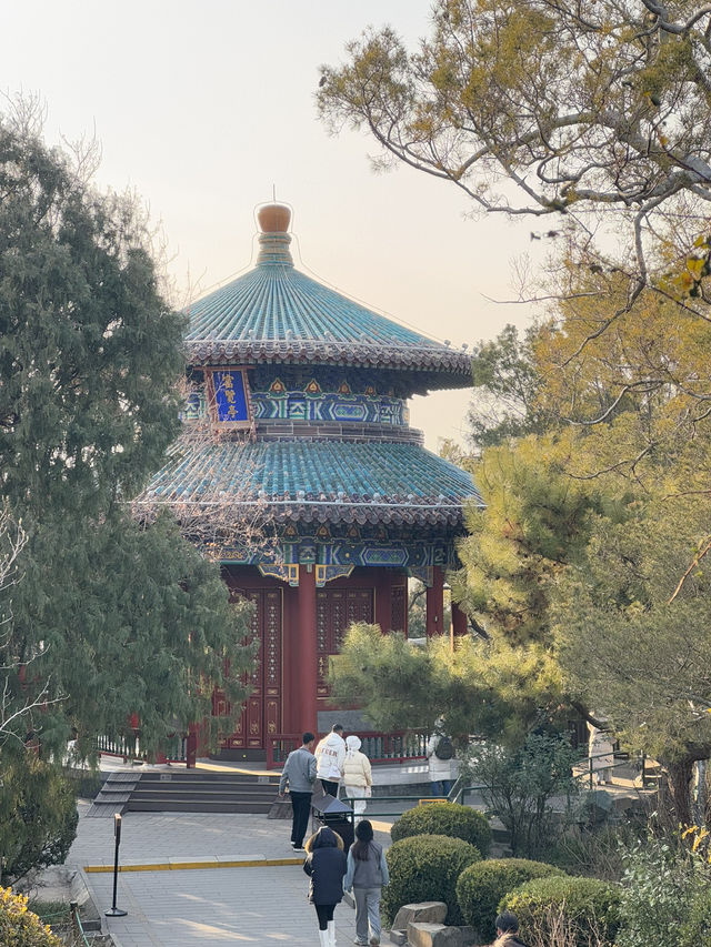 Jinshan Park🌳🏰