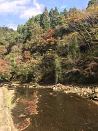 【千葉】養老渓谷で自然を感じて🪽