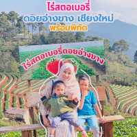 ไร่สตอเบอรี่ ดอยอ่างขาง