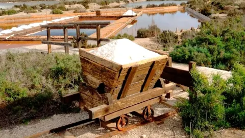 Salt Field Museum — traveler post in Elche