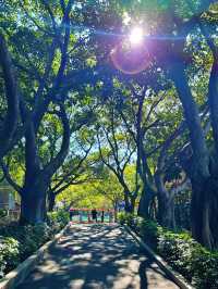 🌊 珠海海濱公園：悠閒漫步的城市綠洲 🌿