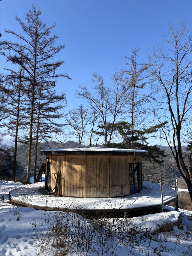 춘천의 스위같은 해피초원목장 데이트⭐️