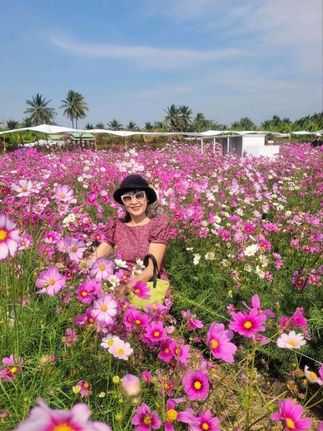 สวนดอกไม้ สมาภรณ์ การ์เด้น