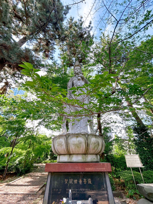 東京タワーを背景に！増上寺