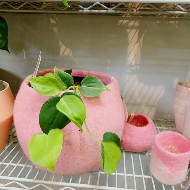 Botanical Bliss at Bar Botanik