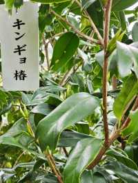 ■季楽の丘