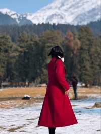 🌿 Hidden Gems of Kashmir – Beyond the Usual! ❄️🏔️