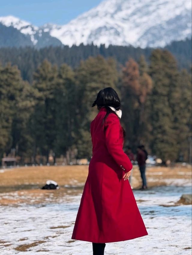 🌿 Hidden Gems of Kashmir – Beyond the Usual! ❄️🏔️