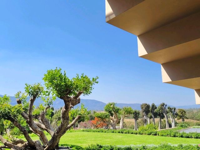 Harudot Khaoyai