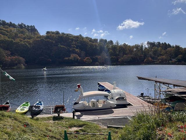 蓼科湖の紅葉@長野・茅野🍁