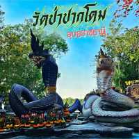 ชมบารมีองค์พญานาคราช ที่วัดป่าปากโดม
