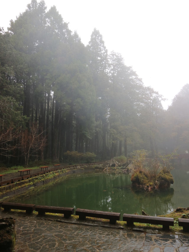 ALISHAN 🚂 ☁️ 