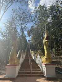 【チェンマイのタイ人に1番人気のお寺】ワット プラタート ドーイカム