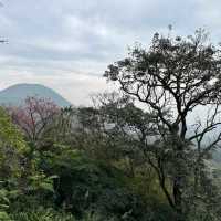 Yangmingshan National Park