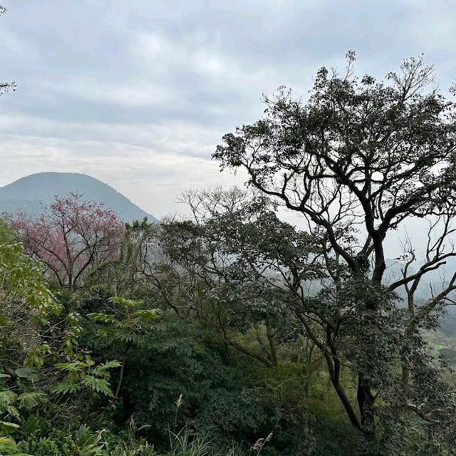 Yangmingshan National Park