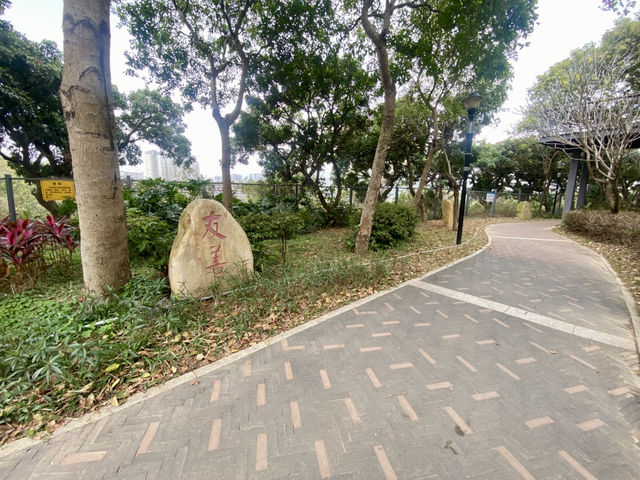 深圳寶安區親子好去處✨立新湖公園🌴❤️