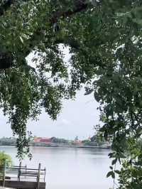 รัก(ไม่)จางที่บางปะกง คาเฟ่ บ้านโพธิ์ ฉะเชิงเทรา