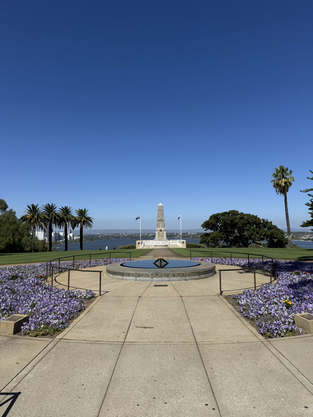 Kings Park Adventure: Nature, Views & Culture