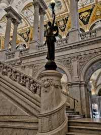 THE LIBRARY OF CONGRESS.