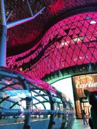Orchard Road Lights & Llaollao Delights