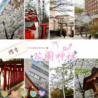 新宿花園神社 | 東京市中心賞櫻的隱秘寶地