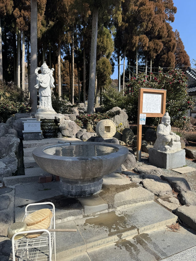 【熊本旅行】金運祈願🙏白蛇様参拝ができる神社⛩