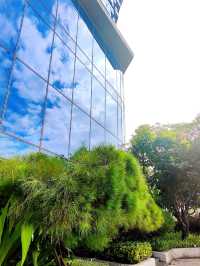 Hilton Shenzhen Shekou Nanhai seaview room