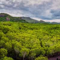 วนอุทยานปราณบุรี 🌿 สูดอากาศดี เดินป่าโกงกาง