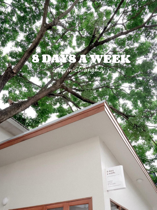 🥯 8 Days a week : คาเฟมินิมอล เชียงใหม่