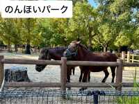 愛知県🇯🇵のんほいパーク