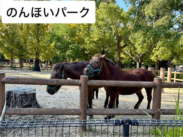 愛知県🇯🇵のんほいパーク