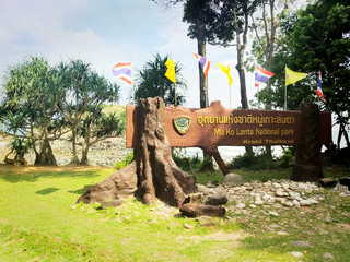 The iconic palm trees of Lanta National Park