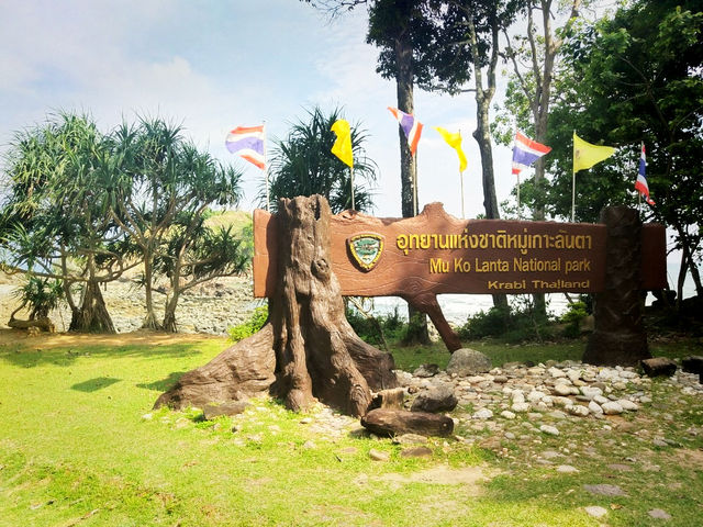 ต้นตาลเอกลักษณ์อุทยานแห่งชาติหมู่เกาะลันตา