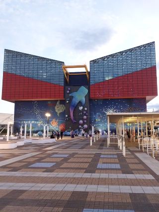 Osaka Aquarium – Underwater Wonderland! 