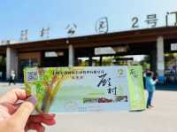 ชมซากุระ @Gucun Park, เซี่ยงไฮ้