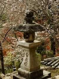 奈良賞楓好去處