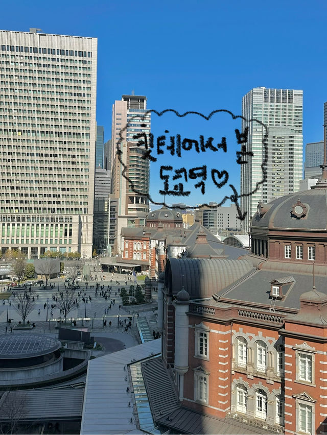 도쿄여행 2박3일 일정 대공개