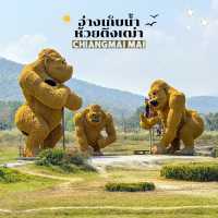 คิงคองยักษ์!! 🦍อ่างเก็บน้ำห้วยตึงเฒ่า เชียงใหม่
