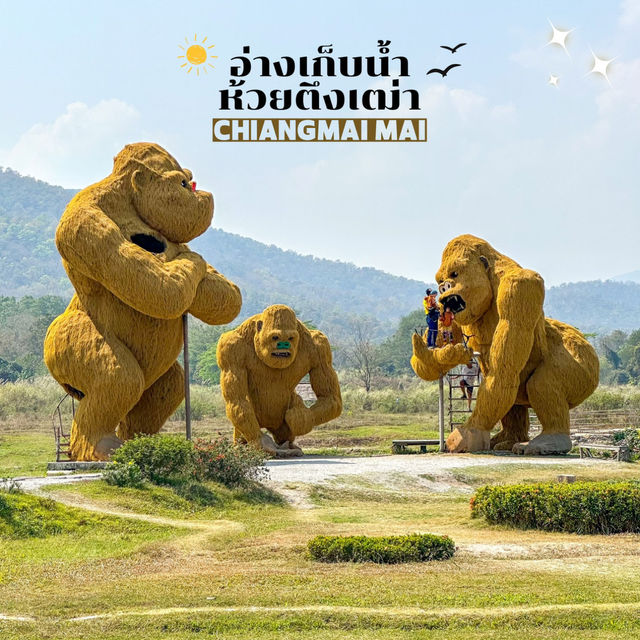คิงคองยักษ์!! 🦍อ่างเก็บน้ำห้วยตึงเฒ่า เชียงใหม่