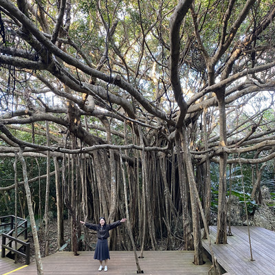 🌿ASMUI Spiritual Hikesで神秘の森を散策🌿 | Trip.com 国頭村