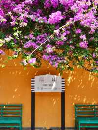 Spring City of China: Kunming
