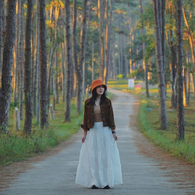 จุดเช็คอินกลางป่าสน | สวนป่าดอยบ่อหลวง