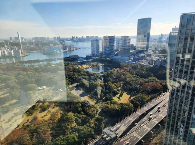 [🇯🇵東京] コンラッド東京 風花で寿司おまかせランチ