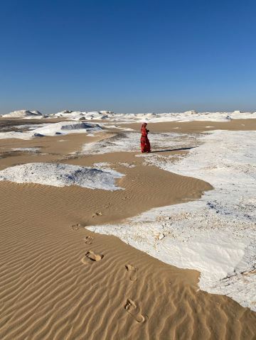 エジプト】静寂な白砂漠で星空キャンプ⛺️ | Trip.com Al Wadi Al