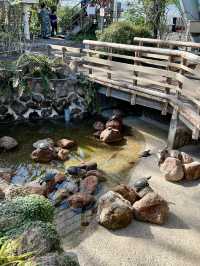 Spring Vibes in Hakodate: A Relaxing Visit to Hakodate Tropical Botanical Garden